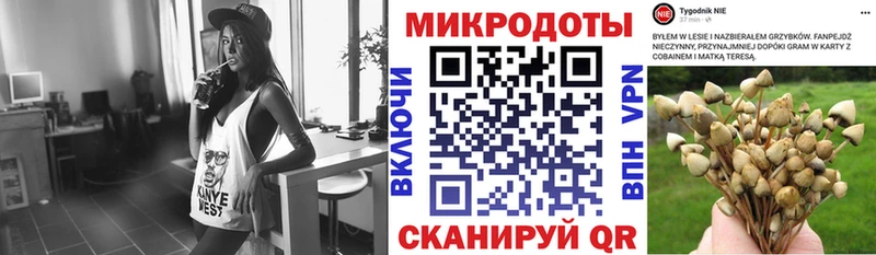 Галлюциногенные грибы Psilocybine cubensis  Красноперекопск 